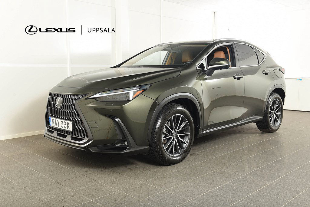 Lexus NX 350h AWD