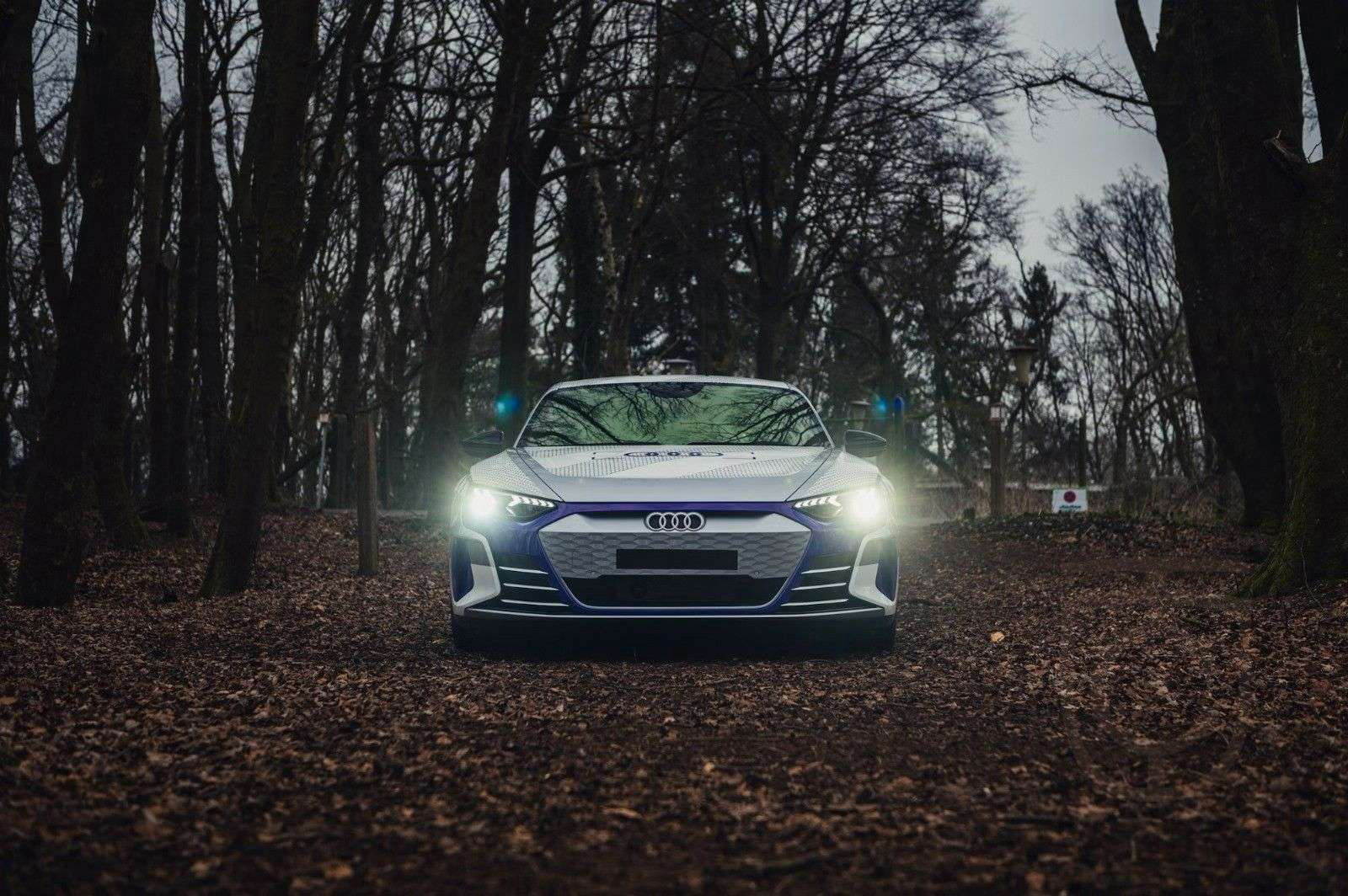 Audi RS e-tron GT