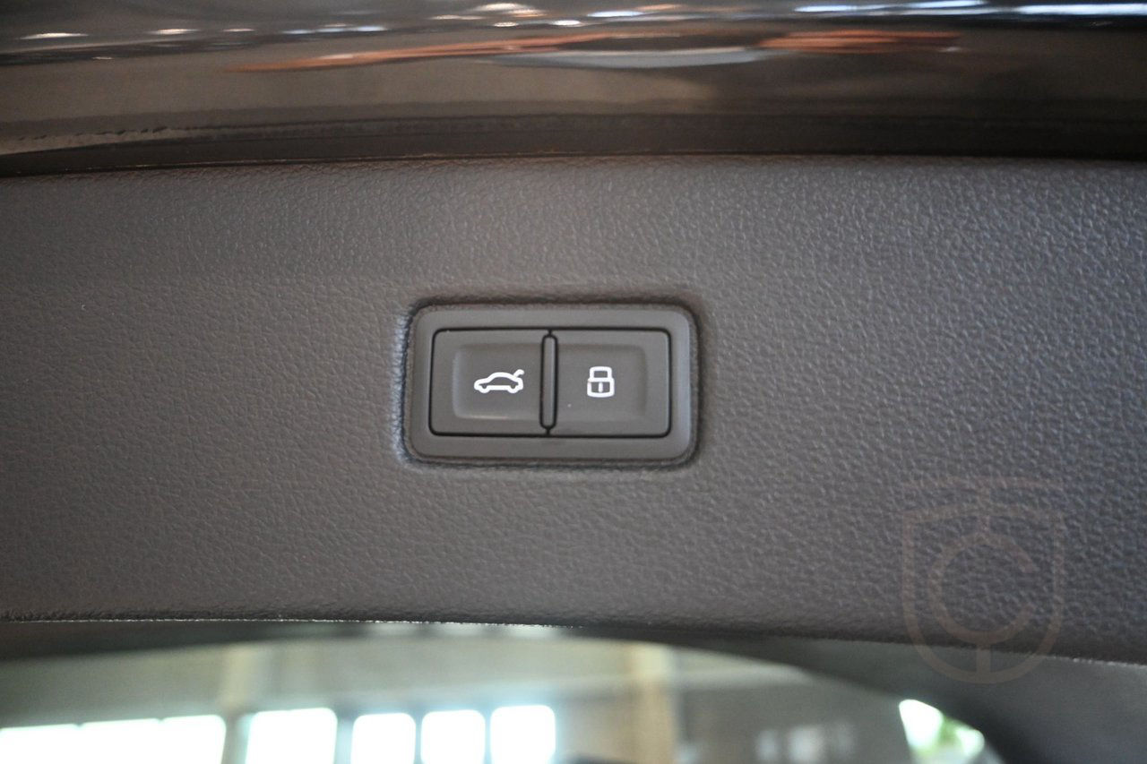 Audi Q7 60 TFSI e quattro S-line Massage Pano