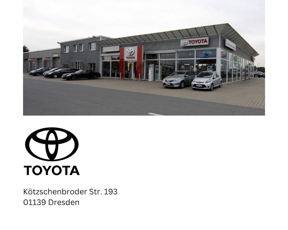 Lexus RX 450 h+ E-Four Executive Line Panoramadach