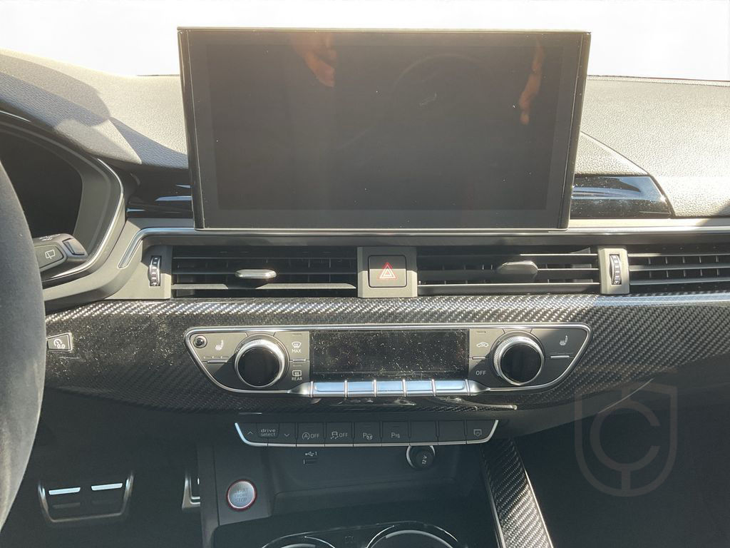 Audi RS4 Avant 2.9 TFSI quattro tiptronic | PANORAMA