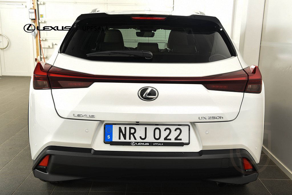 Lexus UX 250h