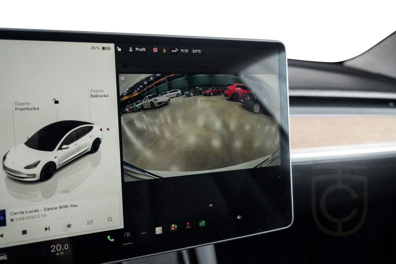 Tesla Model 3 Performance