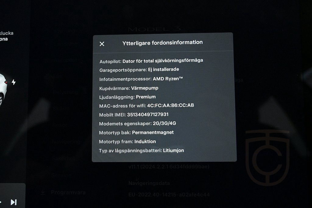 Tesla Model 3 Performance