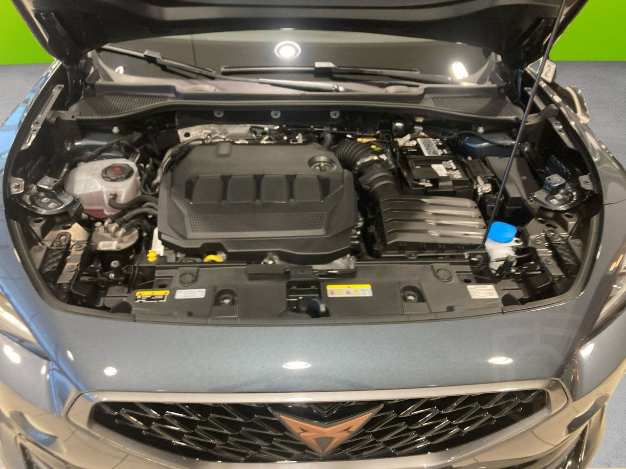 Cupra Formentor 2.0 TDI 4Drive DSG