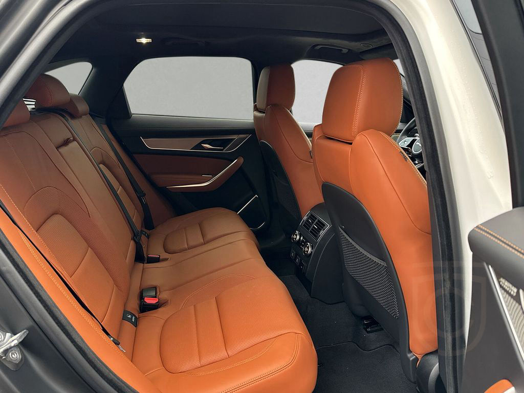 Jaguar F-Pace D300 R-Dyn.HSE*90 Years Edt*22"AHK Standh