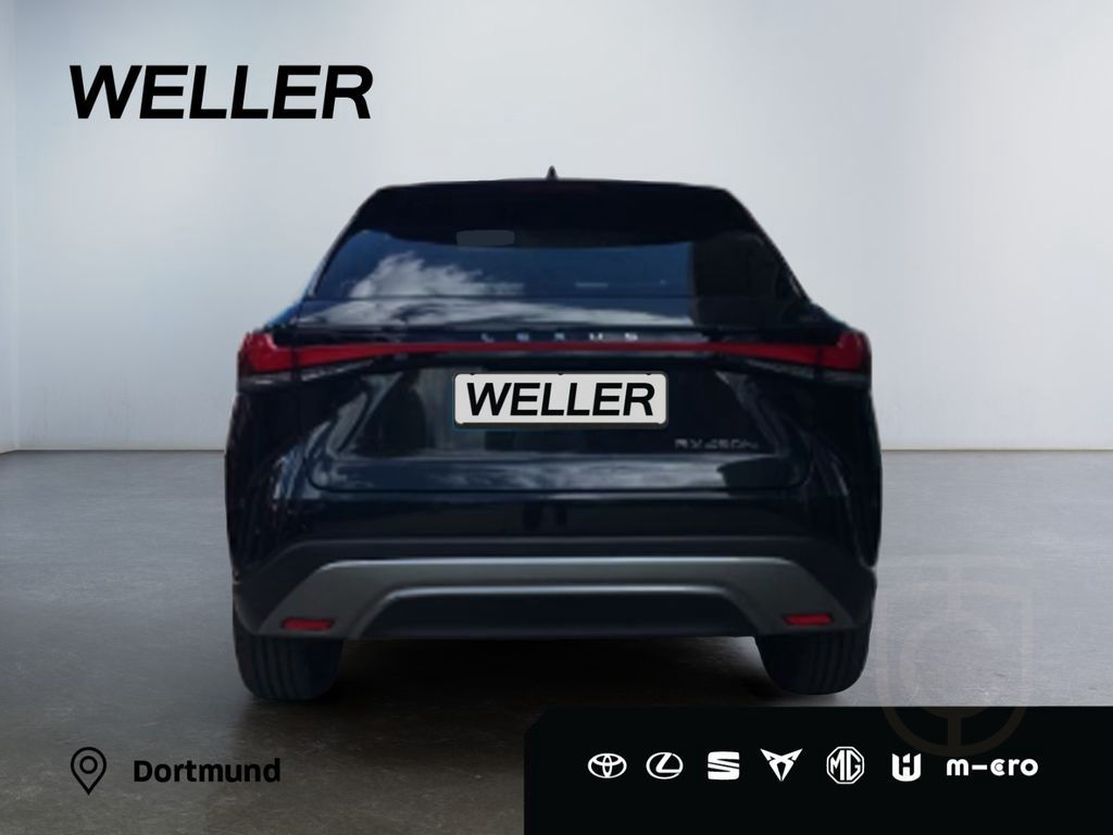 Lexus RX 450h + Luxury *LED*360°*Pano*Leder*Carplay*