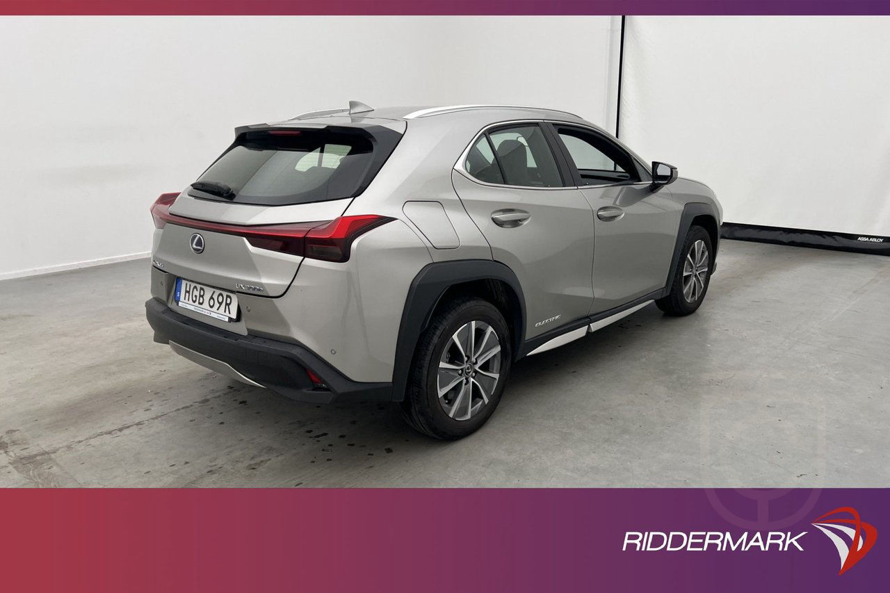 Lexus UX 300e