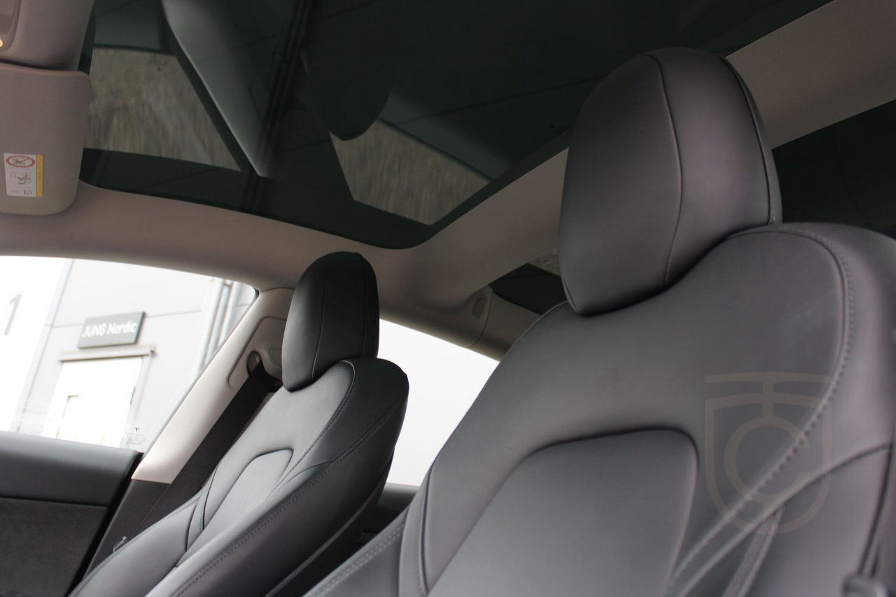 Tesla Model 3 Tesla Model 3 RWD Ryzen