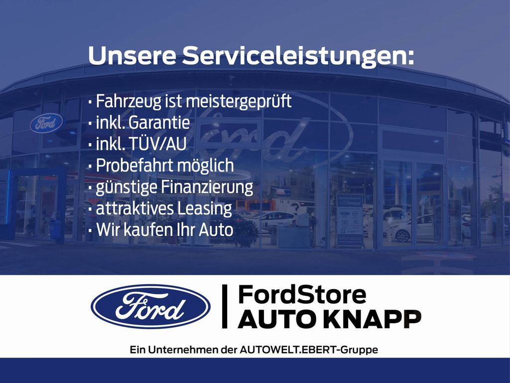 Ford Mustang Dark Horse 453 PS Autom. Recaro Sitze