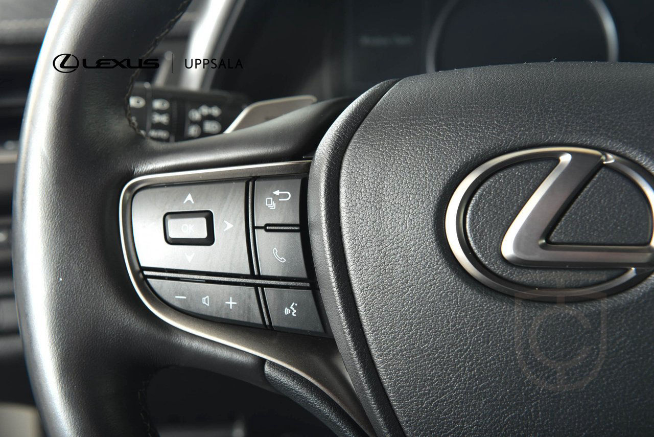 Lexus UX 300e Premium