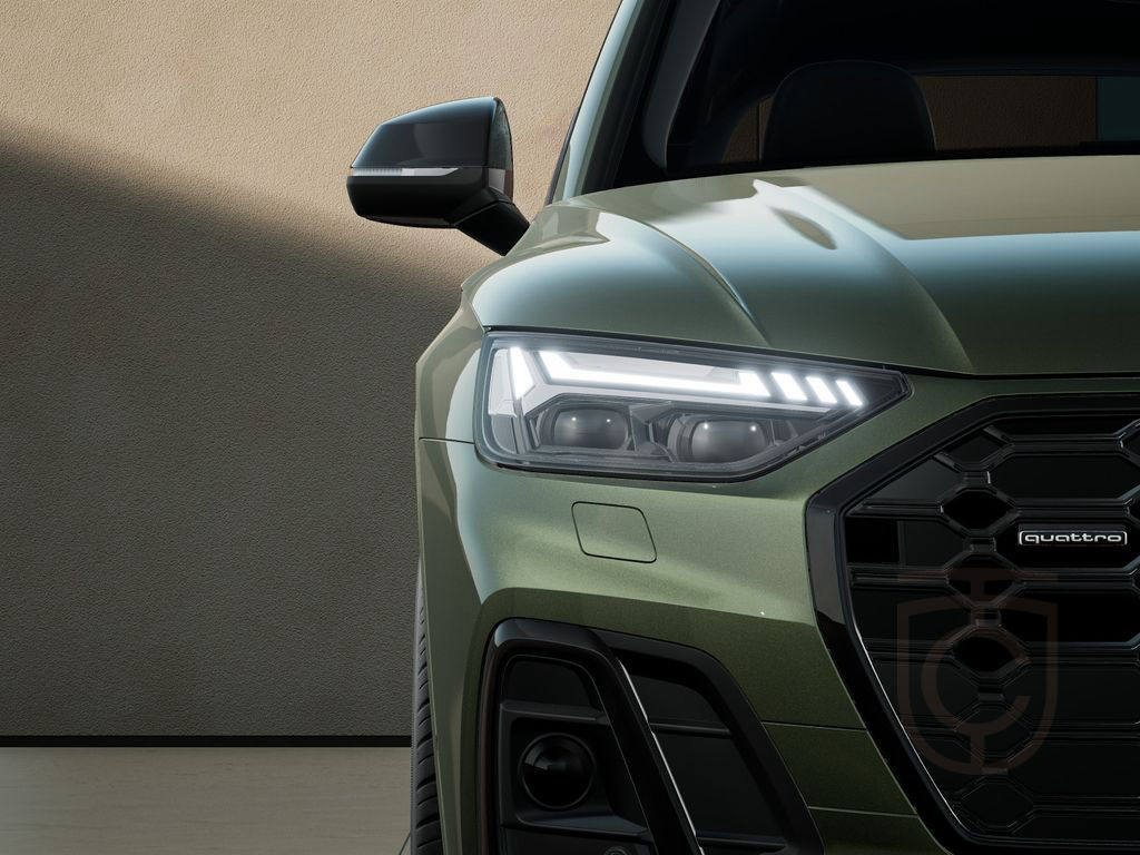 Audi Q5 45 TFSI quattro Sline Head-Up Standh. Matrix