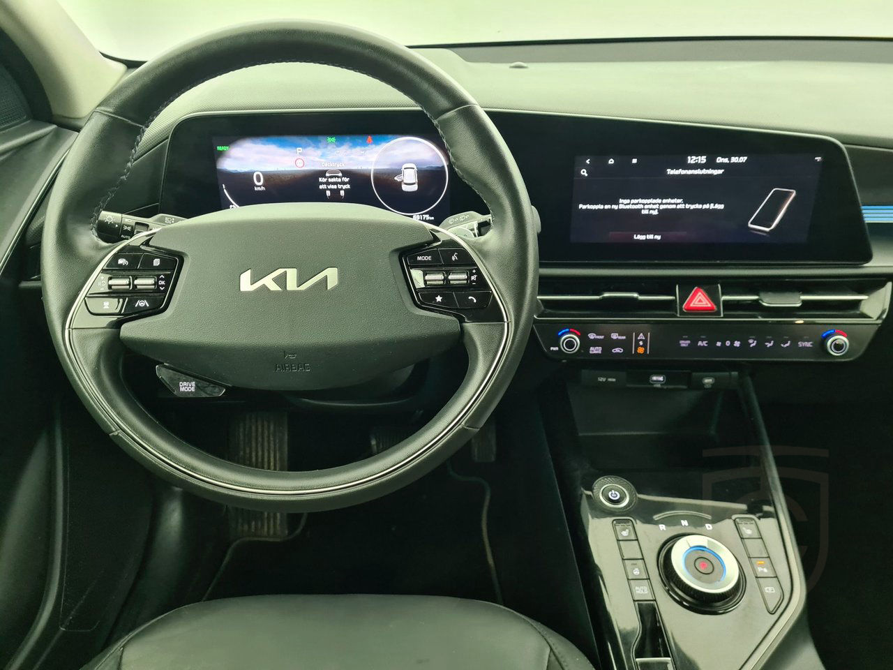 Kia Niro EV Action