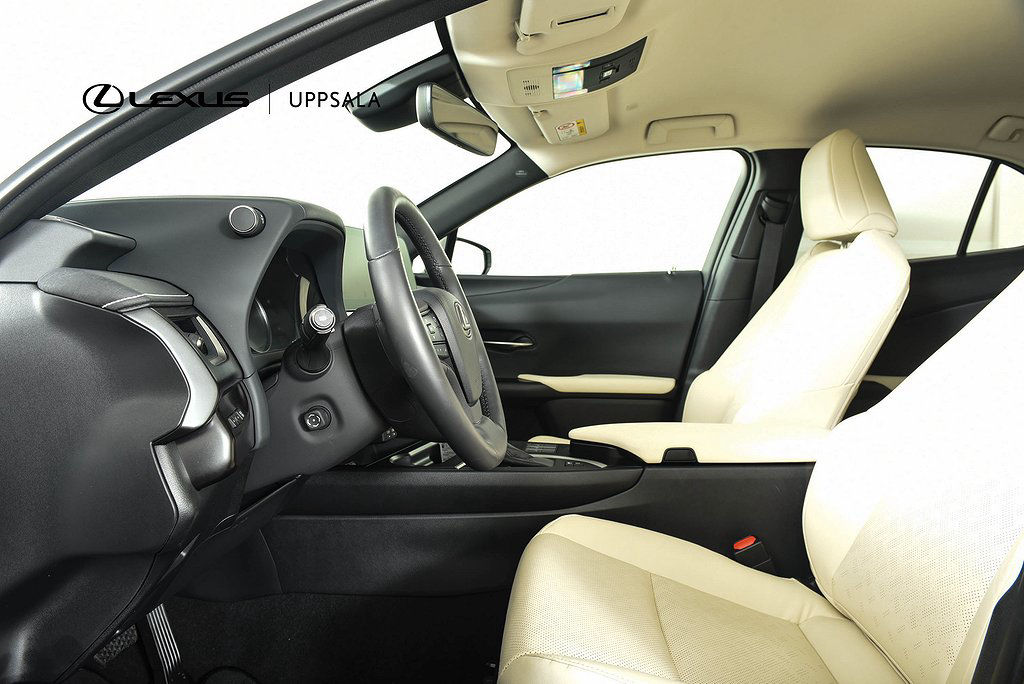 Lexus UX 250h