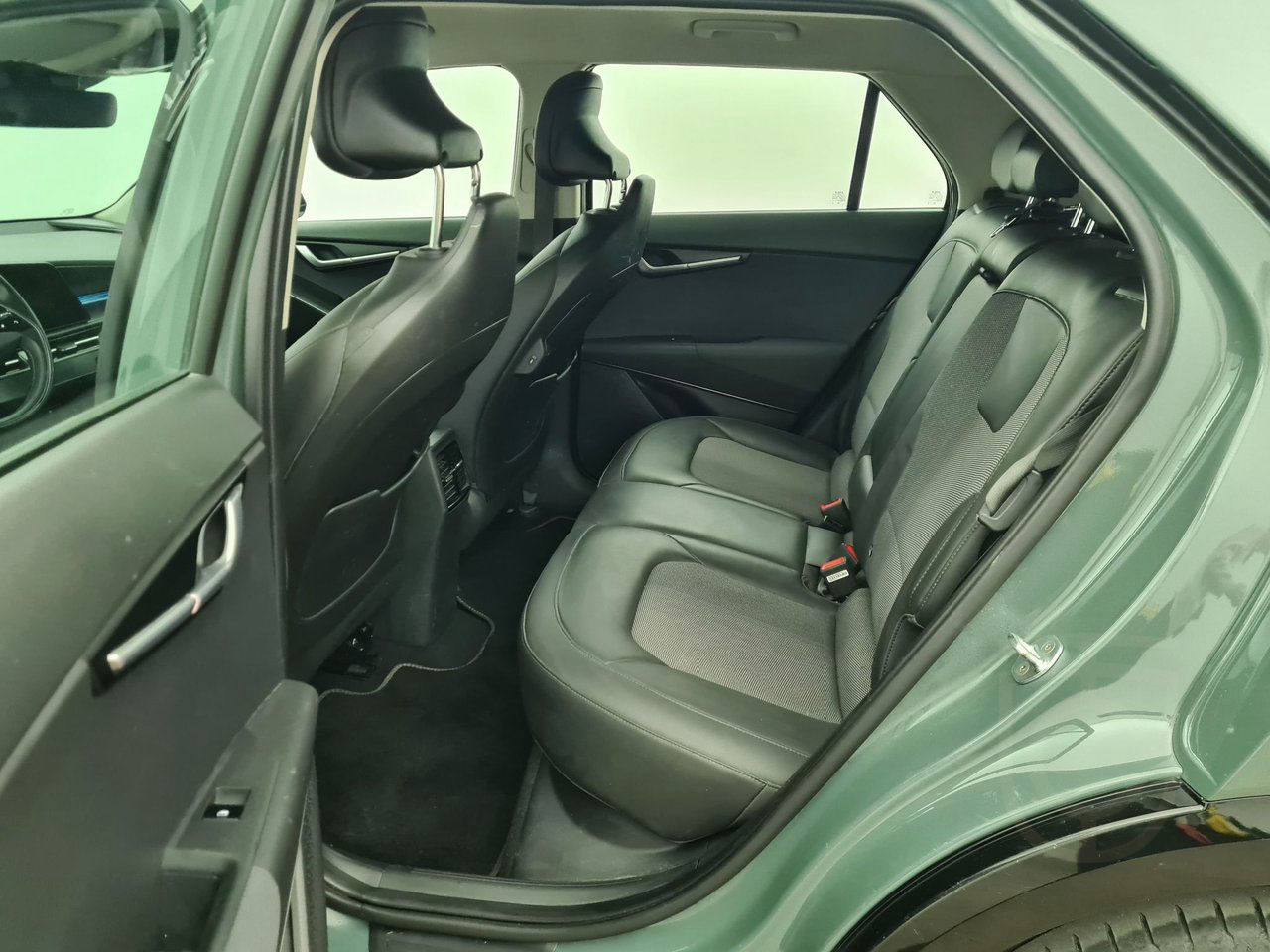 Kia Niro EV Action