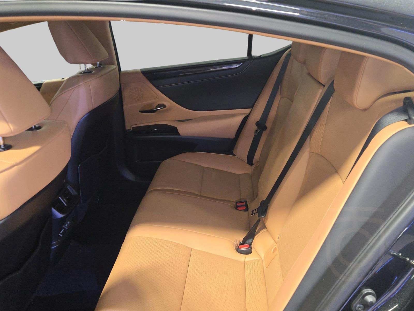 Lexus ES 300h