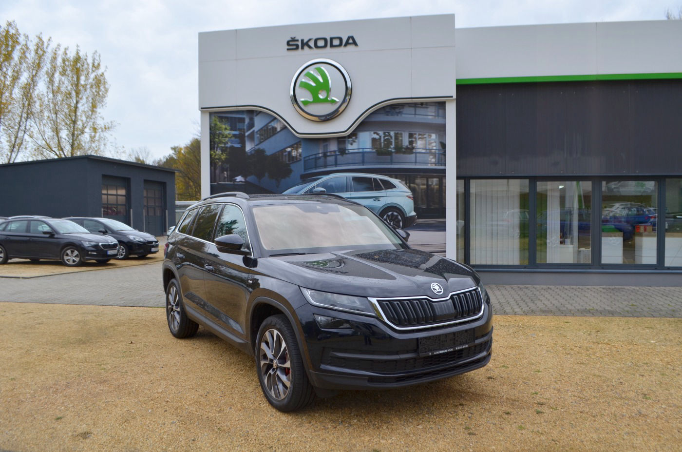 ŠKODA KODIAQ 2.0 TSI DSG 4x4 Drive 125 *LED*DCC*ACC