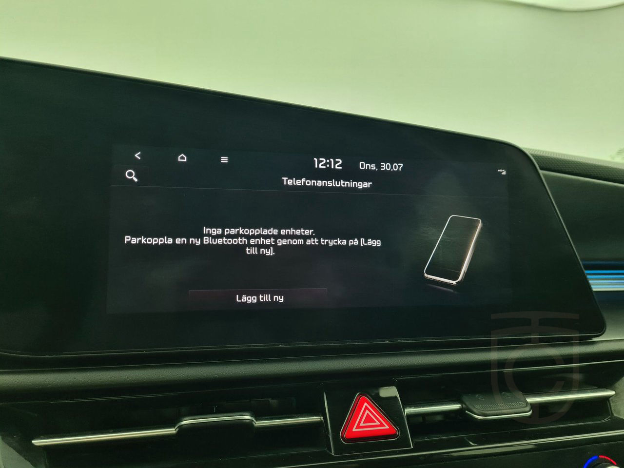 Kia Niro EV Action