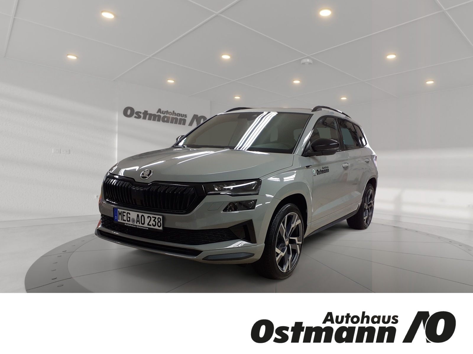 ŠKODA KAROQ RS 2.0 TSI 4x4 DSG ABT MATRIX ACC DCC AHK
