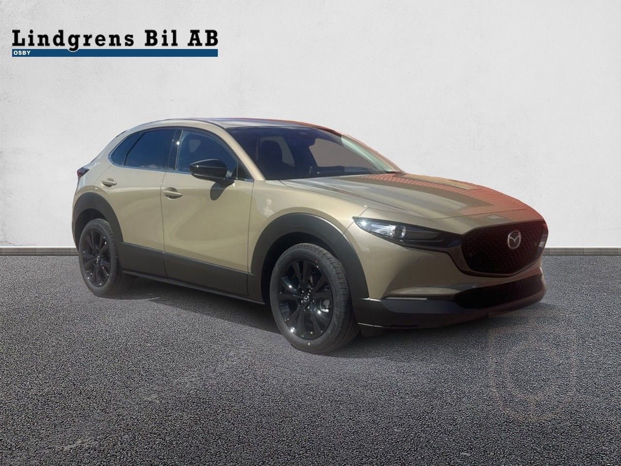 Mazda CX-30 2.0 SKYACTIV-X M Hybrid Automatic 110kW 2024