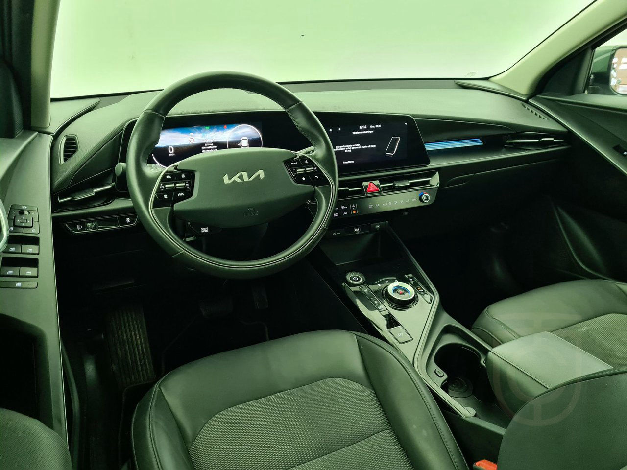 Kia Niro EV Action