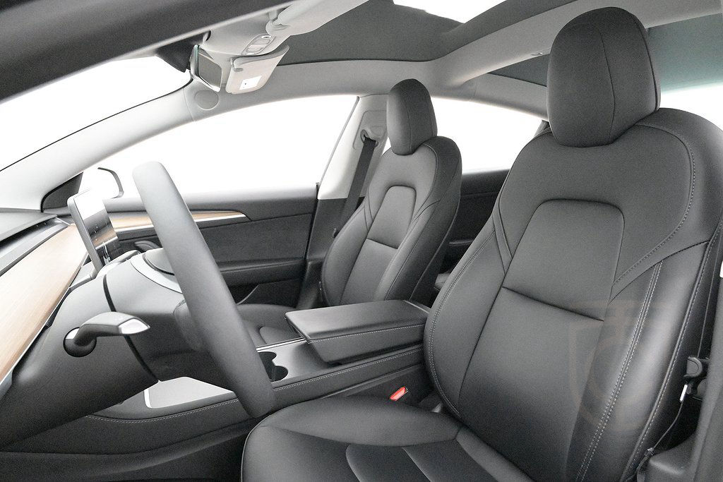 Tesla Model 3 Performance