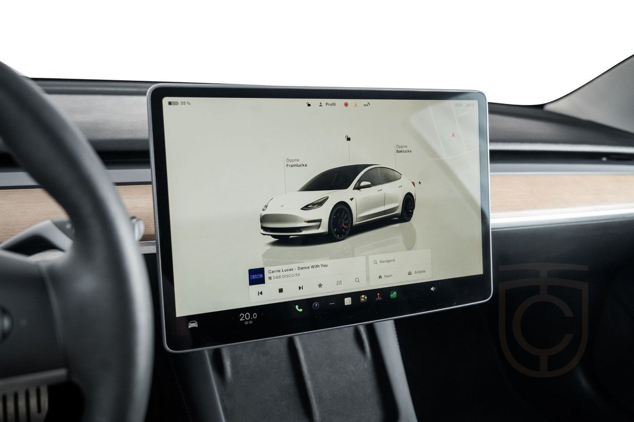 Tesla Model 3 Performance