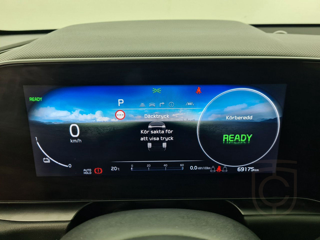 Kia Niro EV Action