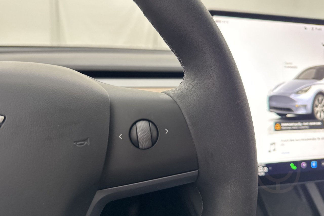 Tesla Model Y Long Range AWD Autopilot Pano