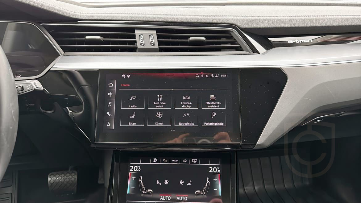 Audi Q8 55 e-tron quattro Selection Panorama