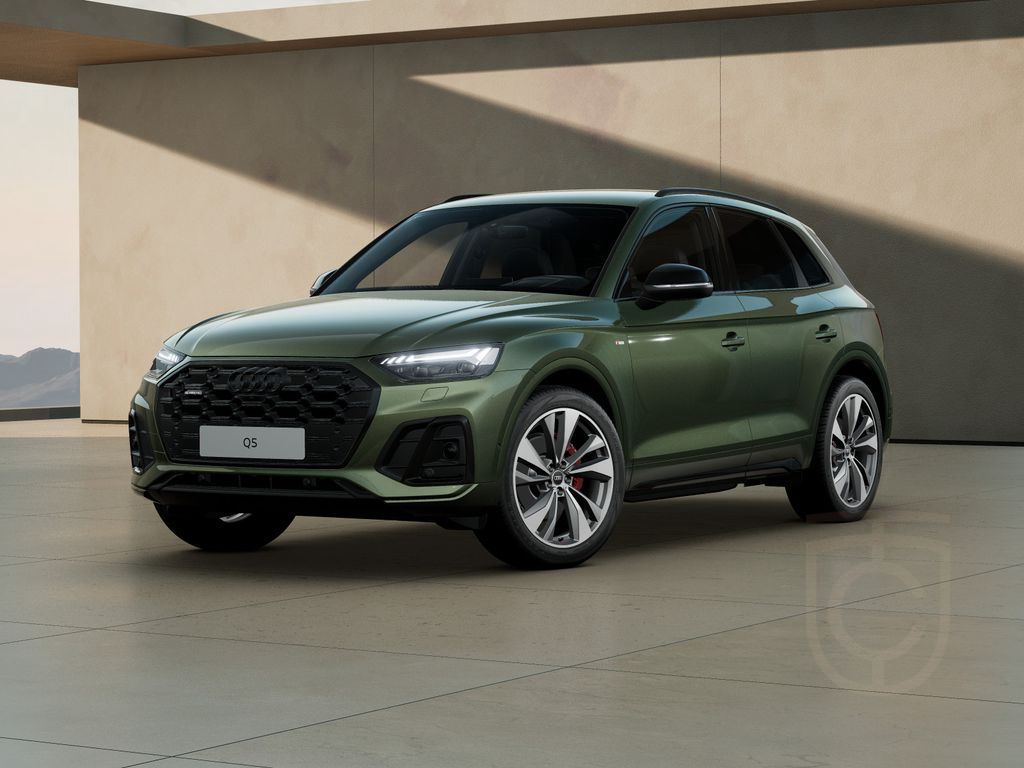 Audi Q5 45 TFSI quattro Sline Head-Up Standh. Matrix