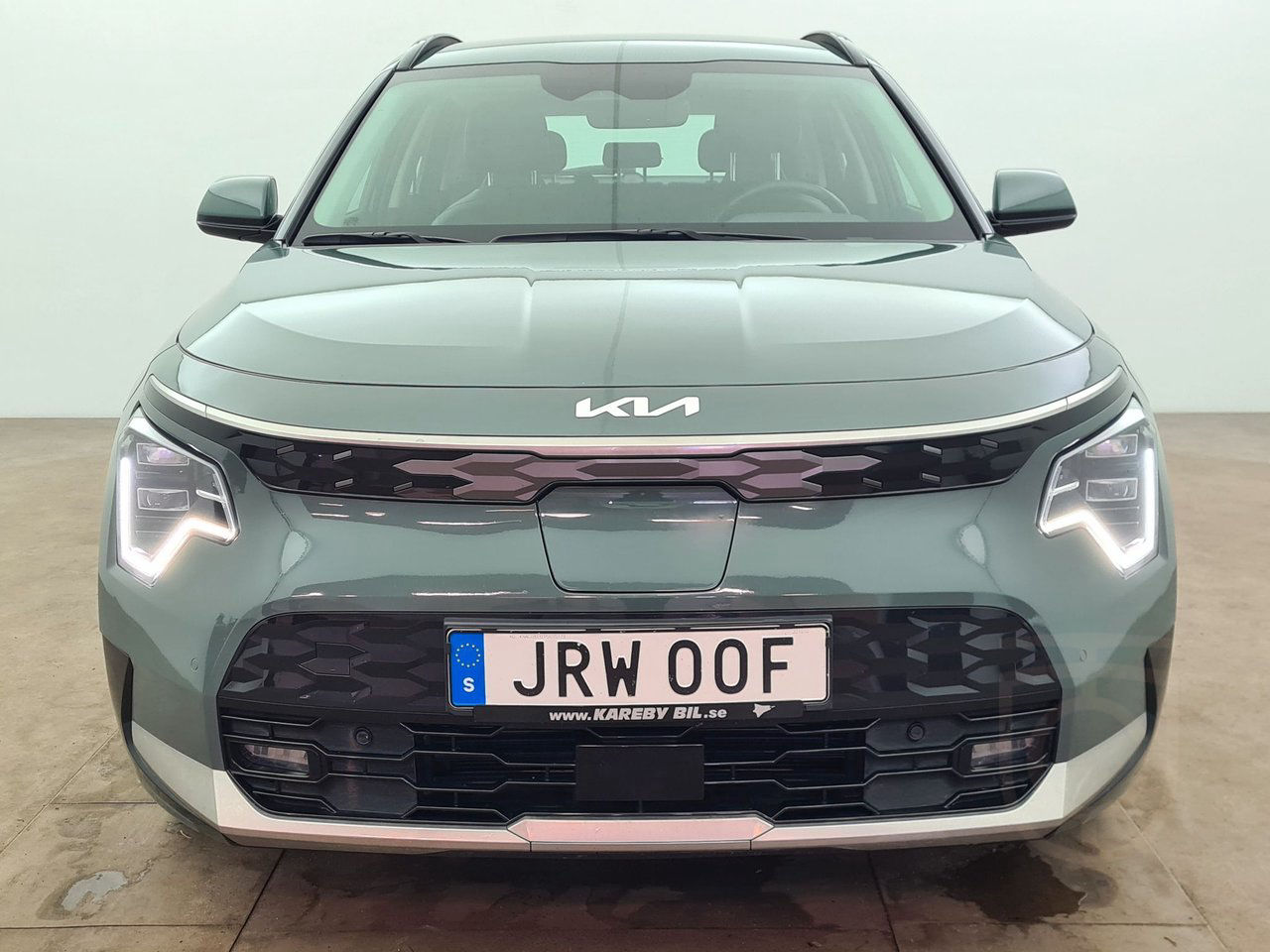 Kia Niro EV Action