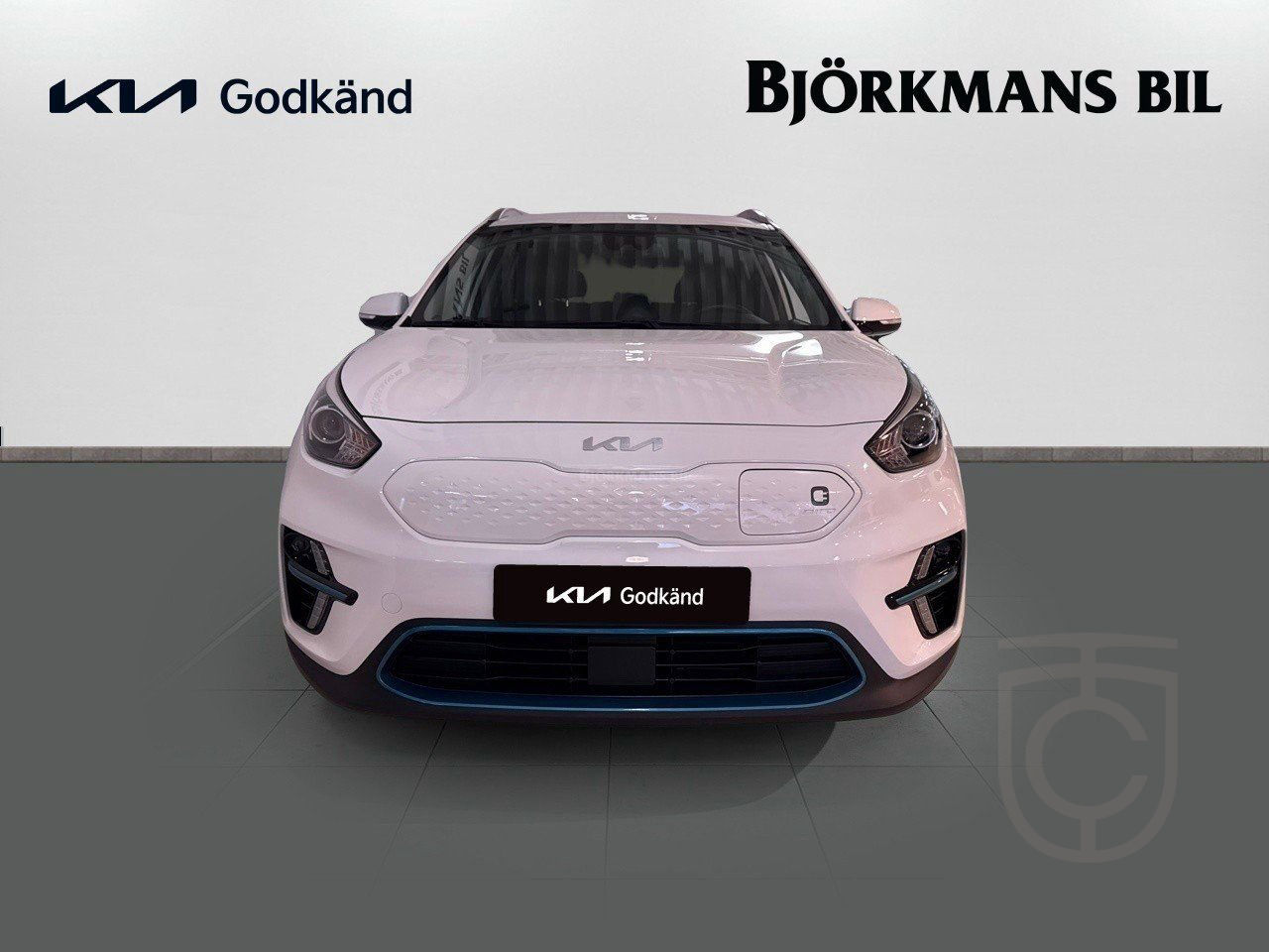 Kia E-Niro ADVANCE