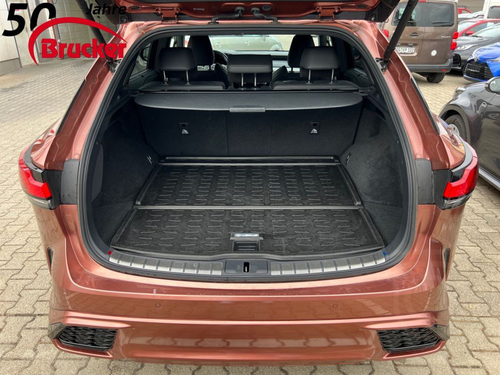 Lexus RX 500h F SPORT+ PANORAMA Interieur Paket AHK