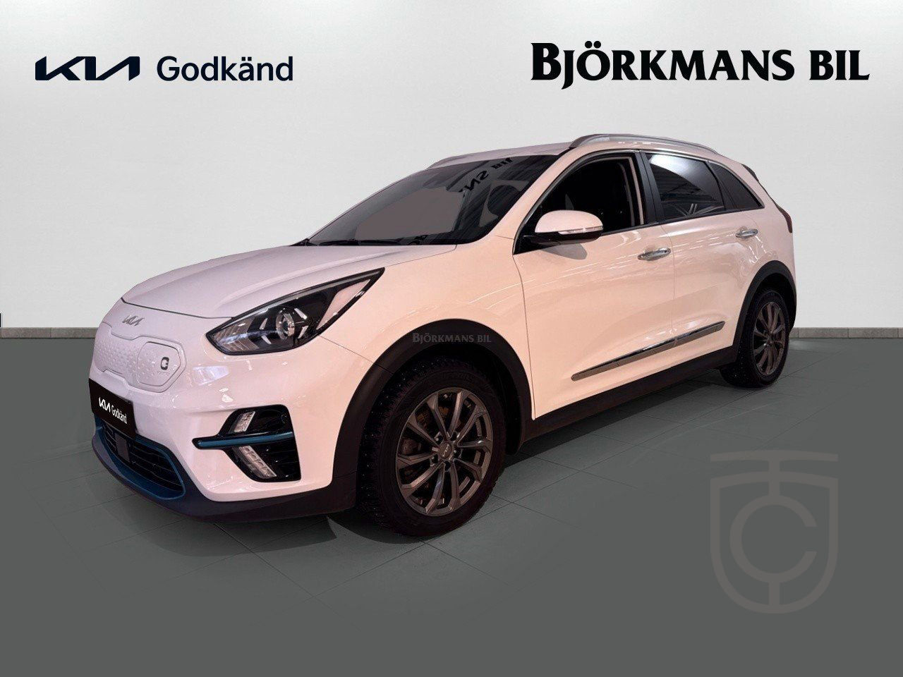 Kia E-Niro ADVANCE