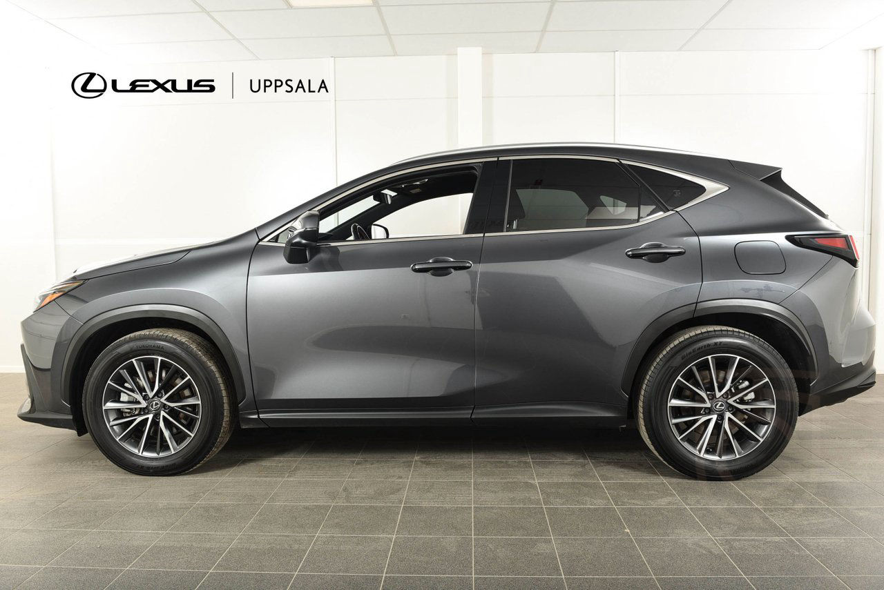 Lexus NX 450h+ Business Plus Plug-In
