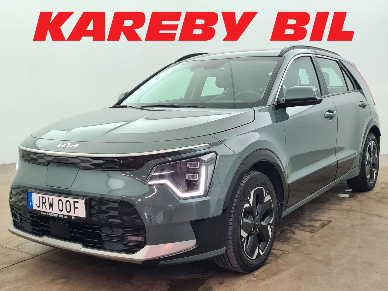 Kia Niro EV Action