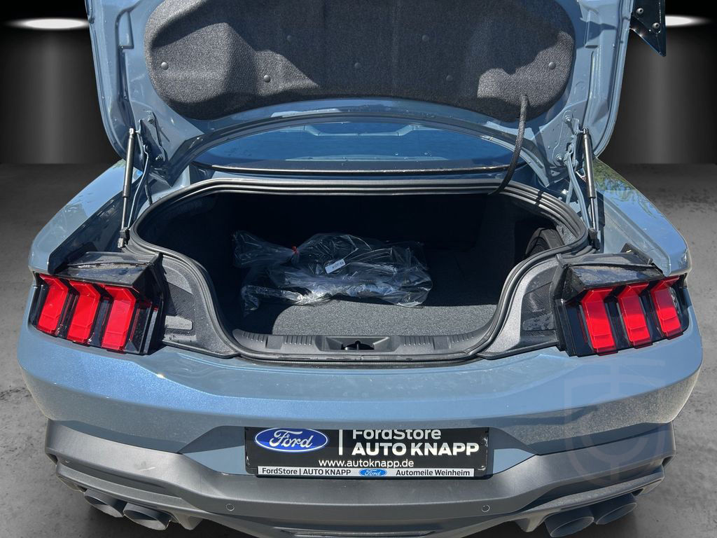 Ford Mustang Dark Horse 453 PS Autom. Recaro Sitze