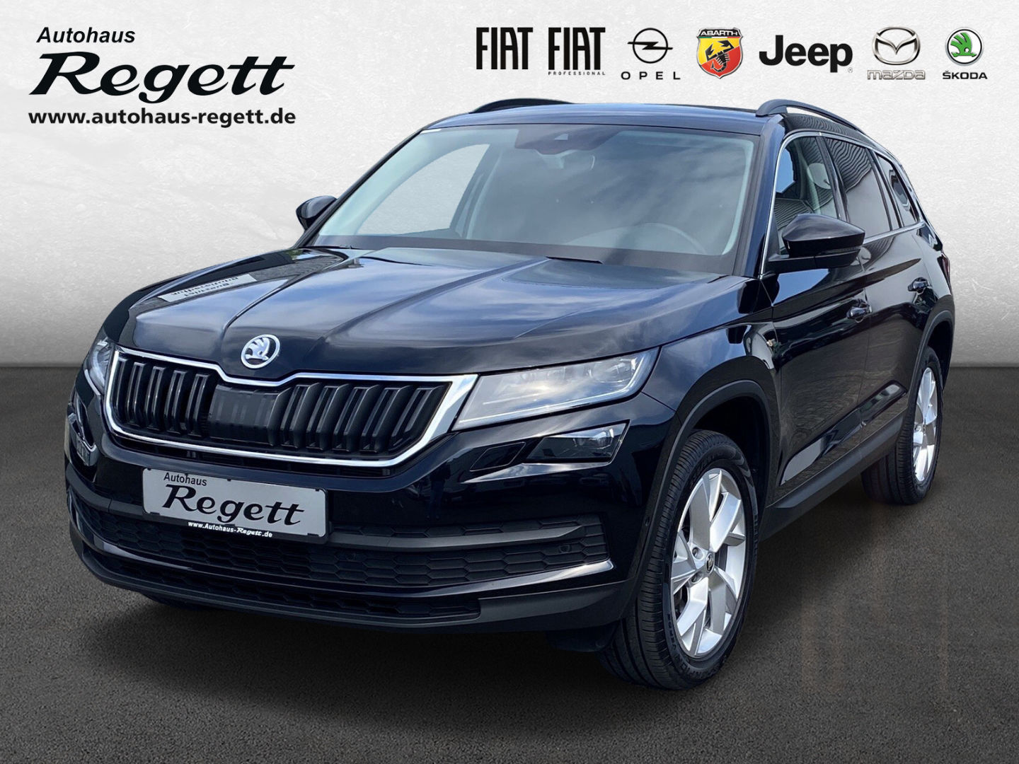 ŠKODA KODIAQ Soleil 2.0 TDI EU6d-T StandHZG AHK-el. klap