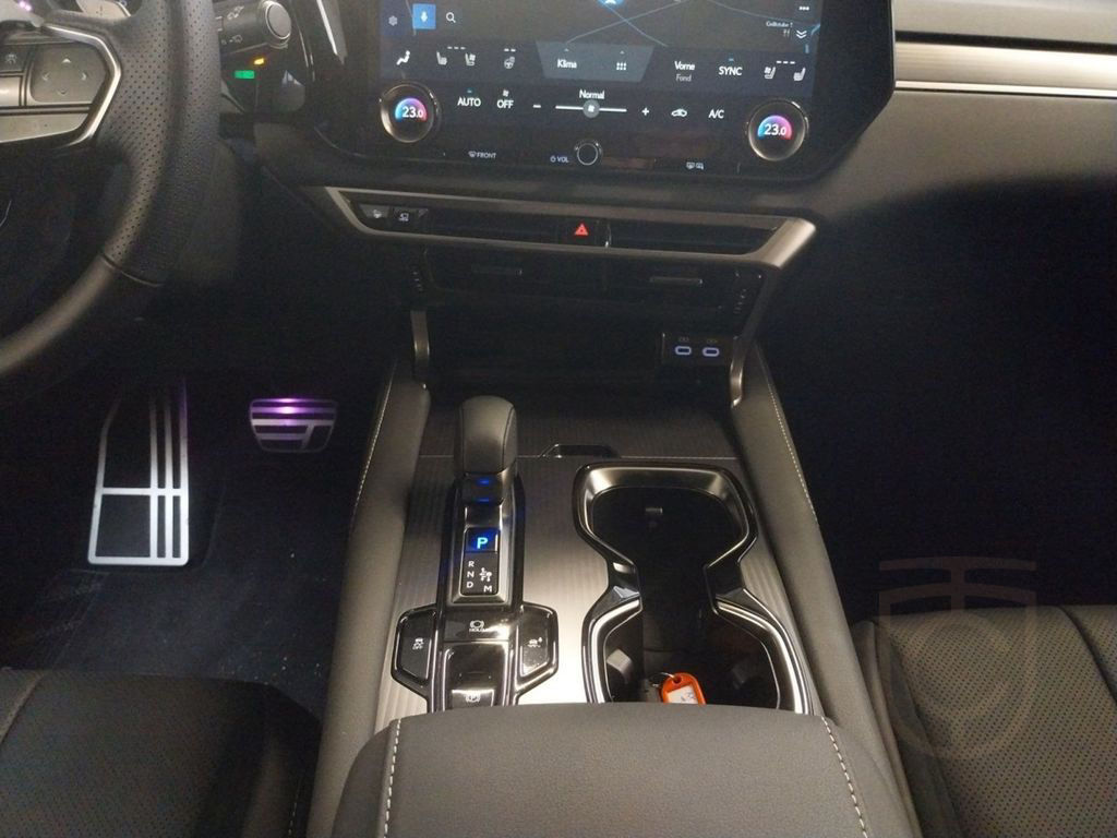 Lexus RX 500 h 500h F-Sport Pano-Glasdach / Mark-Levin