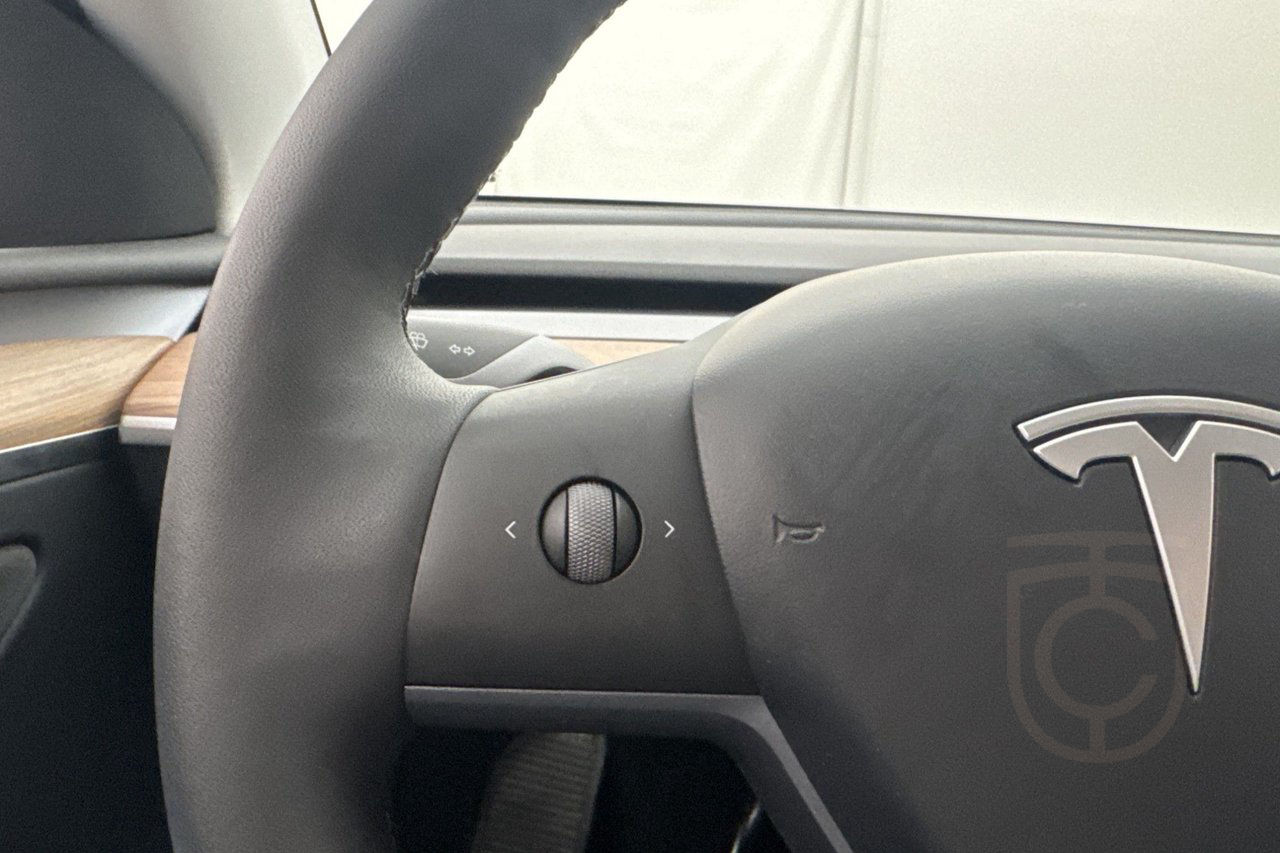 Tesla Model Y Long Range AWD Autopilot Pano