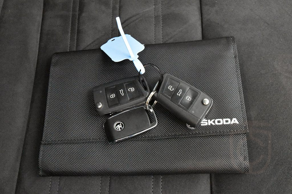 Skoda Octavia Scout 2.0 TDI 4x4 DSG Premium Nav Värmare Drag