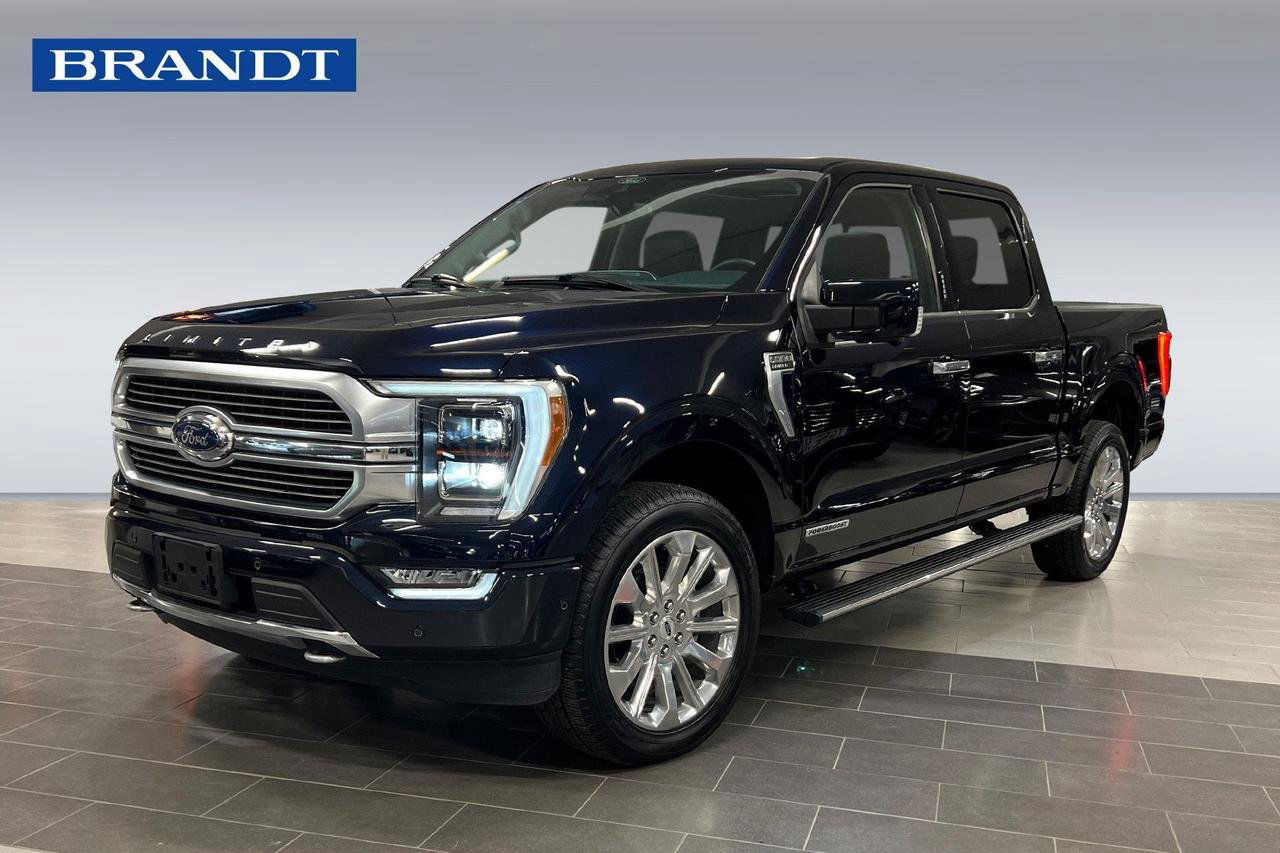 Ford F-150 SuperCrew 150 Platinum 3.5 V6 4x4 HEV