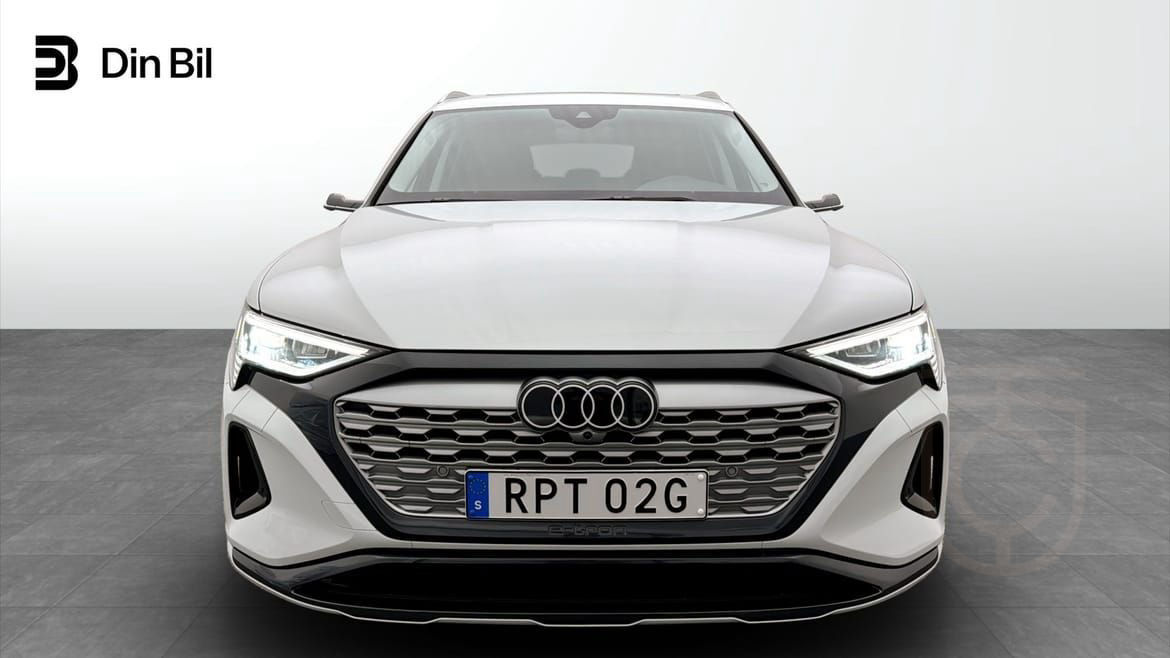 Audi Q8 55 e-tron quattro Selection Panorama