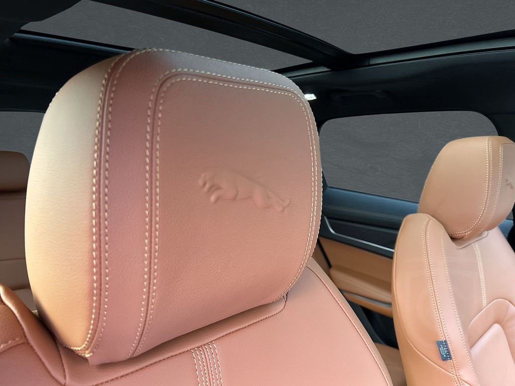 Jaguar F-Pace D200 R-Dynamic SE Winter Paket Panorama D