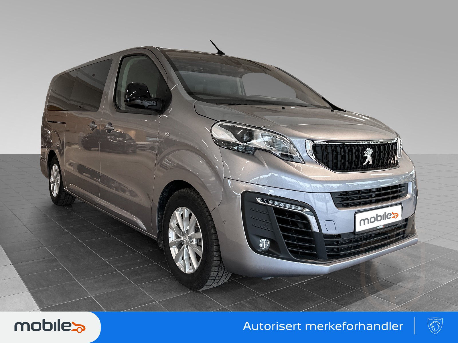 Peugeot Traveller