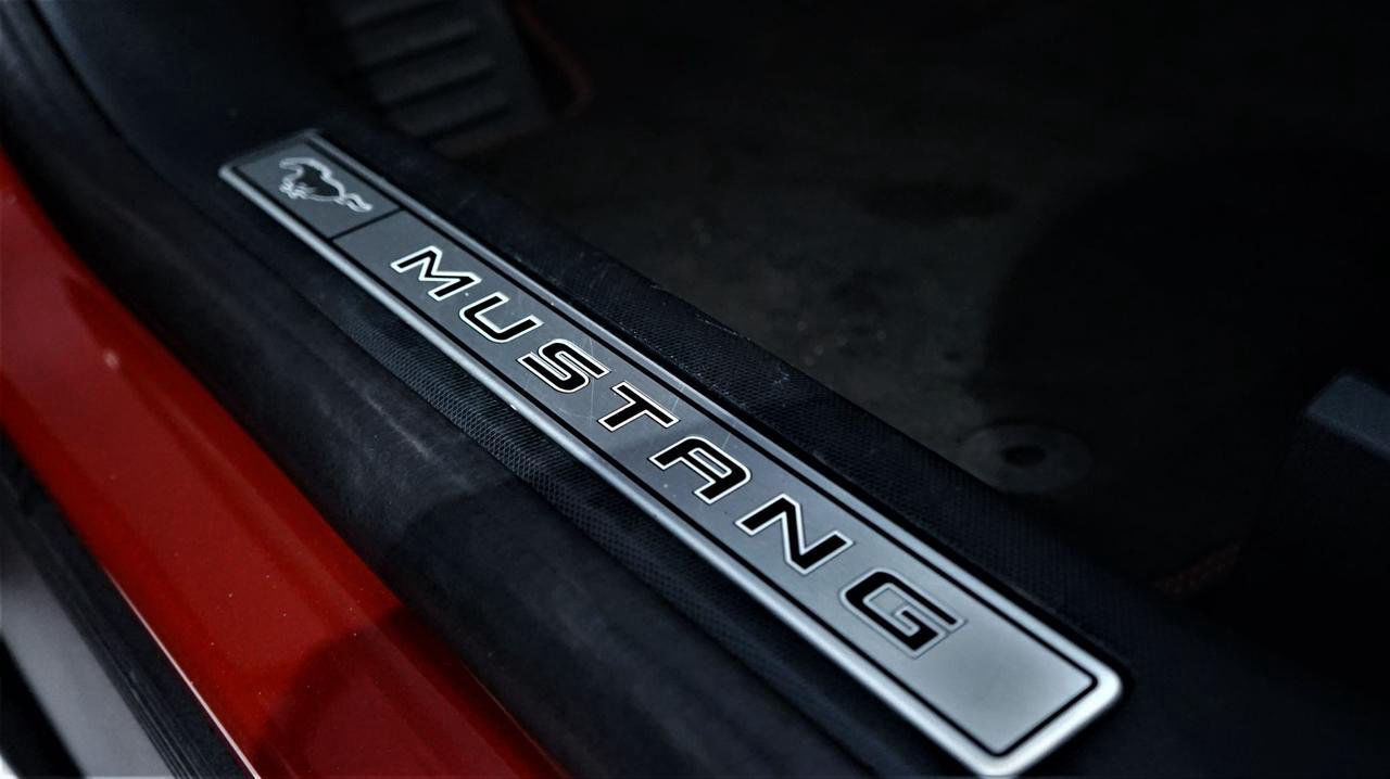 Ford Mustang Mach-E Standard Range RWD 440km