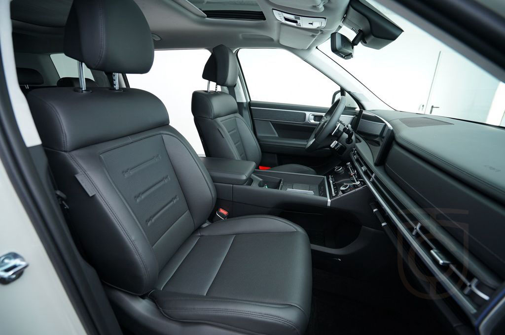 Hyundai SANTA FE HEV Intro (Navi LED AHK HUD ACC Shz)