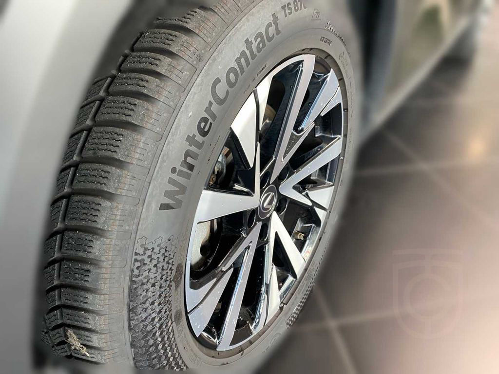 Lexus NX 350h Executive Line + Technik + Pano