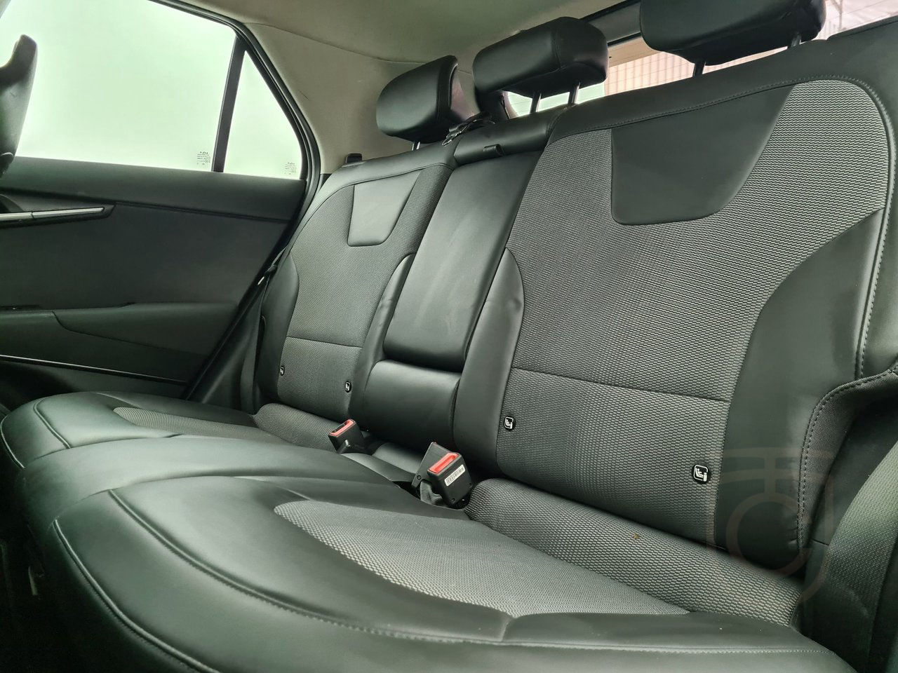 Kia Niro EV Action